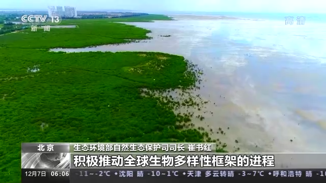 
浙江大学儿童医院黄牛代挂号电话票贩子号贩子网上预约挂号,住院检查加快,COP15第二阶段会议将取得哪些成果？专家解读→