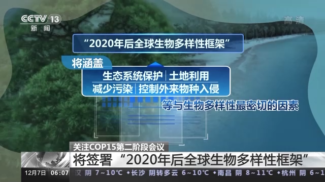 
浙江大学儿童医院黄牛代挂号电话票贩子号贩子网上预约挂号,住院检查加快,COP15第二阶段会议将取得哪些成果？专家解读→