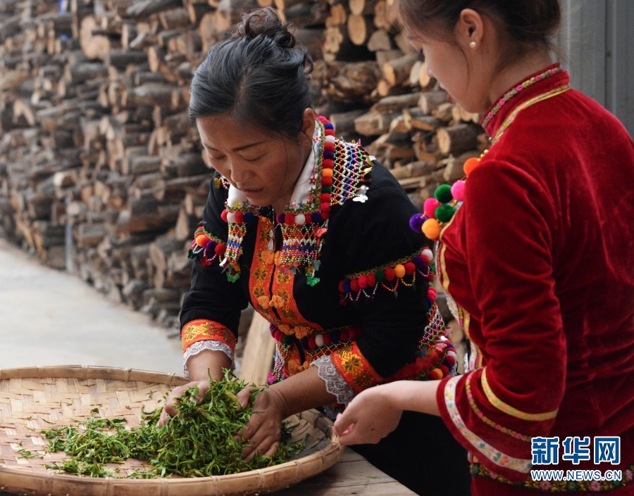 
南京市中医院黄牛代挂号电话票贩子号贩子网上预约挂号,住院检查加快,“中国茶”申遗成功！云南德昂族酸茶了解一下？