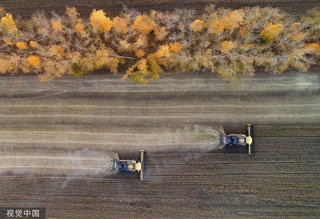 
江苏省中西医结合医院黄牛代挂号电话票贩子号贩子网上预约挂号,住院检查加快,日媒：俄小麦出口激增，缓解全球担忧