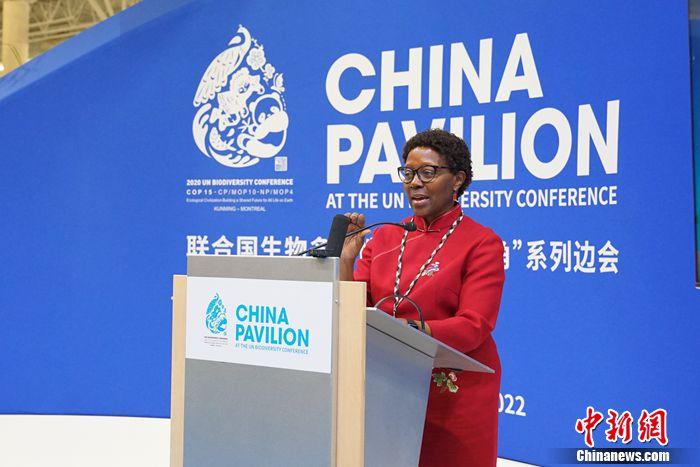 
北医六院黄牛代挂号电话票贩子号贩子网上预约挂号,住院检查加快,坚持人与自然和谐共生 全球期待生物多样性治理新蓝图