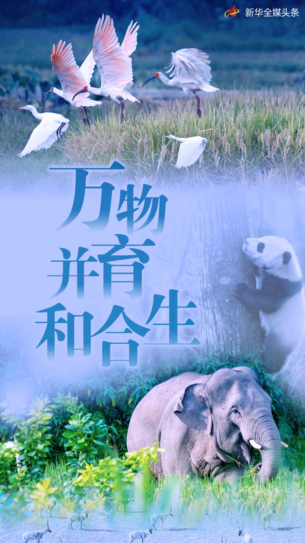 
南京鼓楼医院黄牛代挂号电话票贩子号贩子网上预约挂号,住院检查加快,万物并育和合生——中国积极推动全球生物多样性治理进程