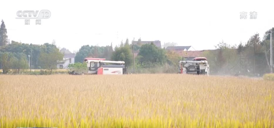 
首都医科大学附属儿童医院黄牛代挂号电话票贩子号贩子网上预约挂号,住院检查加快,耕地质量提升改造 中低产田变成高产田