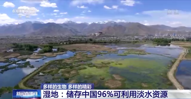 
中国中医科学院广安门医院黄牛代挂号电话票贩子号贩子网上预约挂号,住院检查加快,“地球之肾” 有多重要？一起来了解神奇的湿地→