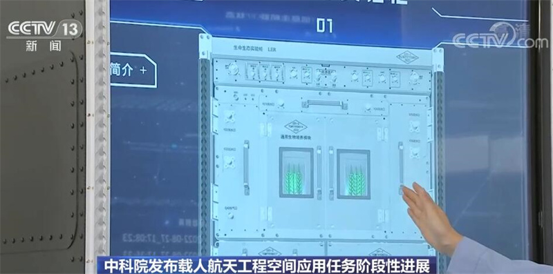 
北京西苑医院黄牛网上预约挂号,住院检查加快问天实验舱应用任务进展顺利 植物生长状态良好