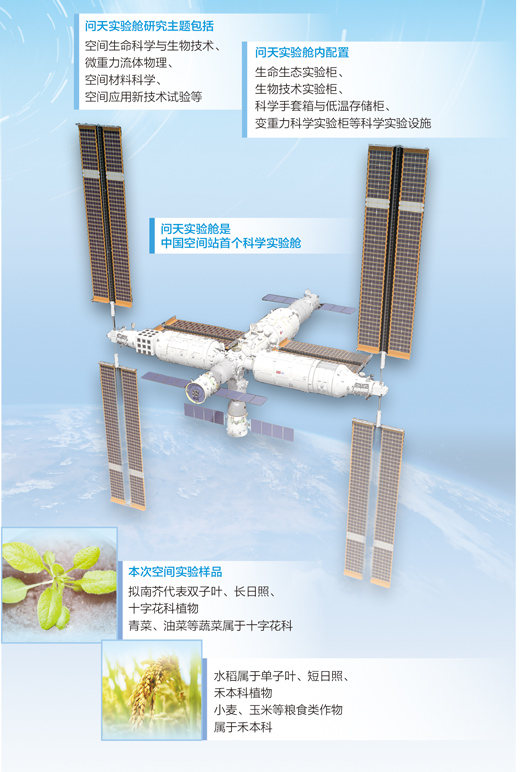 
南京军区总医院黄牛网上预约挂号,住院检查加快在中国空间站种植物（科技自立自强）