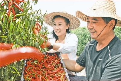 
北京妇产医院黄牛跑腿挂号,住院检查加快全过程人民民主不断发展