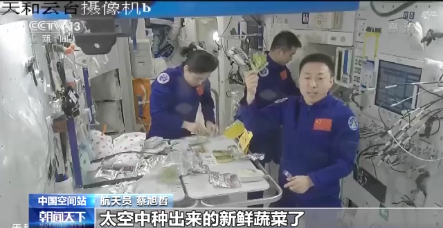 
江苏省第二中医院黄牛网上预约挂号,住院检查加快莲蓉月饼 十二道风味……看“神十四”乘组在空间站的中秋菜单