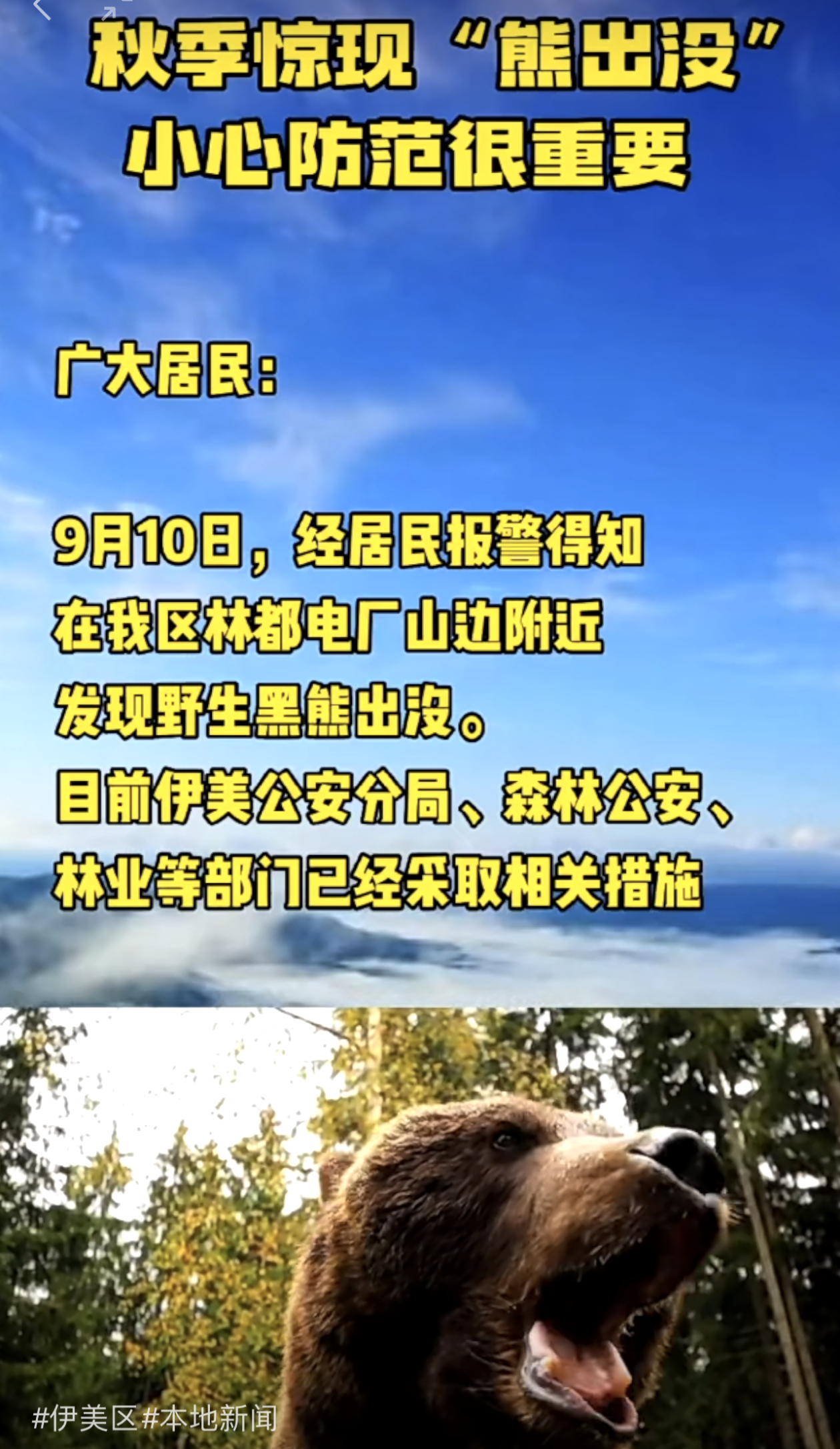 
成都华西医院挂号黄牛电话,住院检查加快熊出没！黑龙江伊春伊美区发布提醒