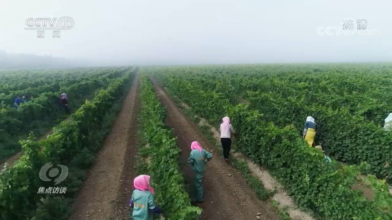 
上海儿科医院黄牛挂号,住院检查加快焦点访谈：领航中国 全面小康 一个都不能少