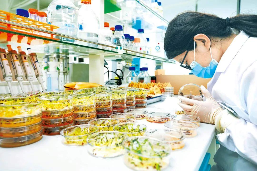 
南京鼓楼医院挂号黄牛电话,住院检查加快办好自己的事丨牢牢端稳中国饭碗