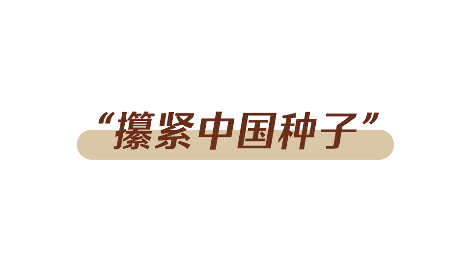 
南京鼓楼医院挂号黄牛电话,住院检查加快办好自己的事丨牢牢端稳中国饭碗