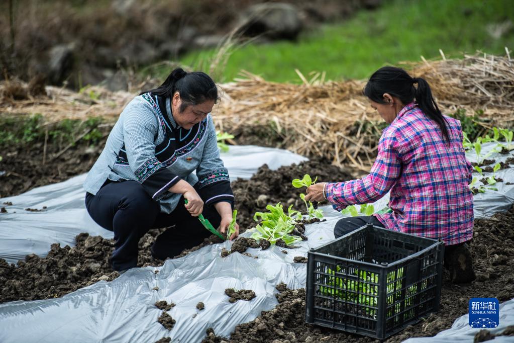 
东部战区总医院黄牛电话,住院检查加快新时代中国调研行·非凡十年看优势｜举国同心 合力攻坚——从贵州打赢脱贫攻坚战看中国特色社会主义制度优势