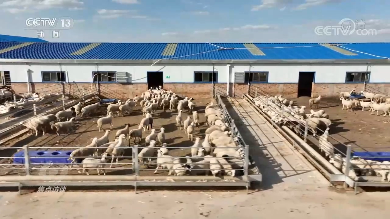 
上海儿科医院黄牛挂号,住院检查加快焦点访谈：领航中国 全面小康 一个都不能少