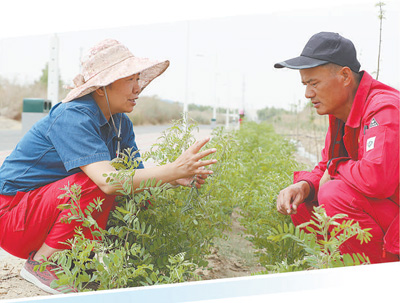 
广州市第一人民医院挂号黄牛电话,住院检查加快沙海中的一片片新绿（逐梦）