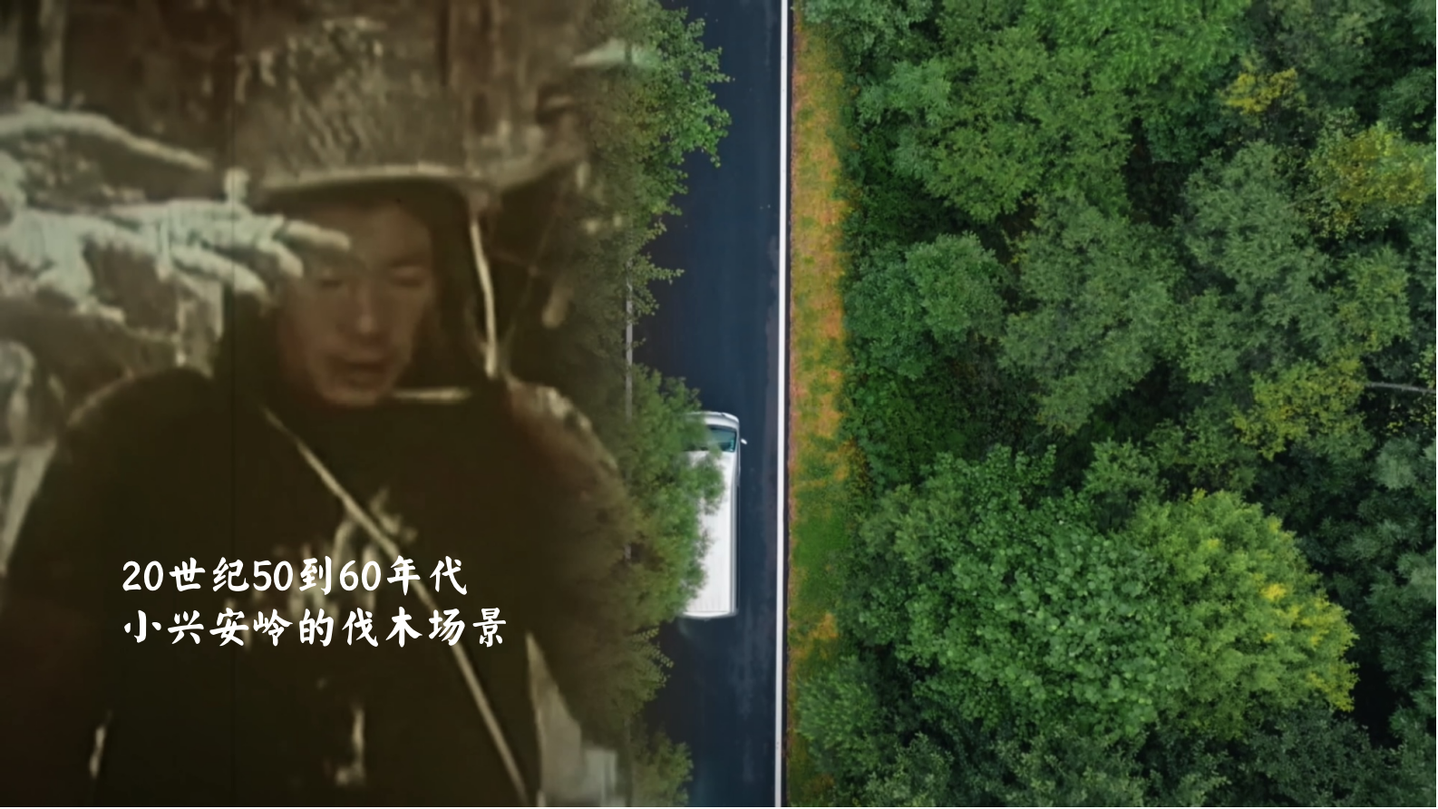 
广州中医院黄牛网上预约挂号,住院检查加快绿水青山是我家⑥｜给咱伊春出的题 答上来了