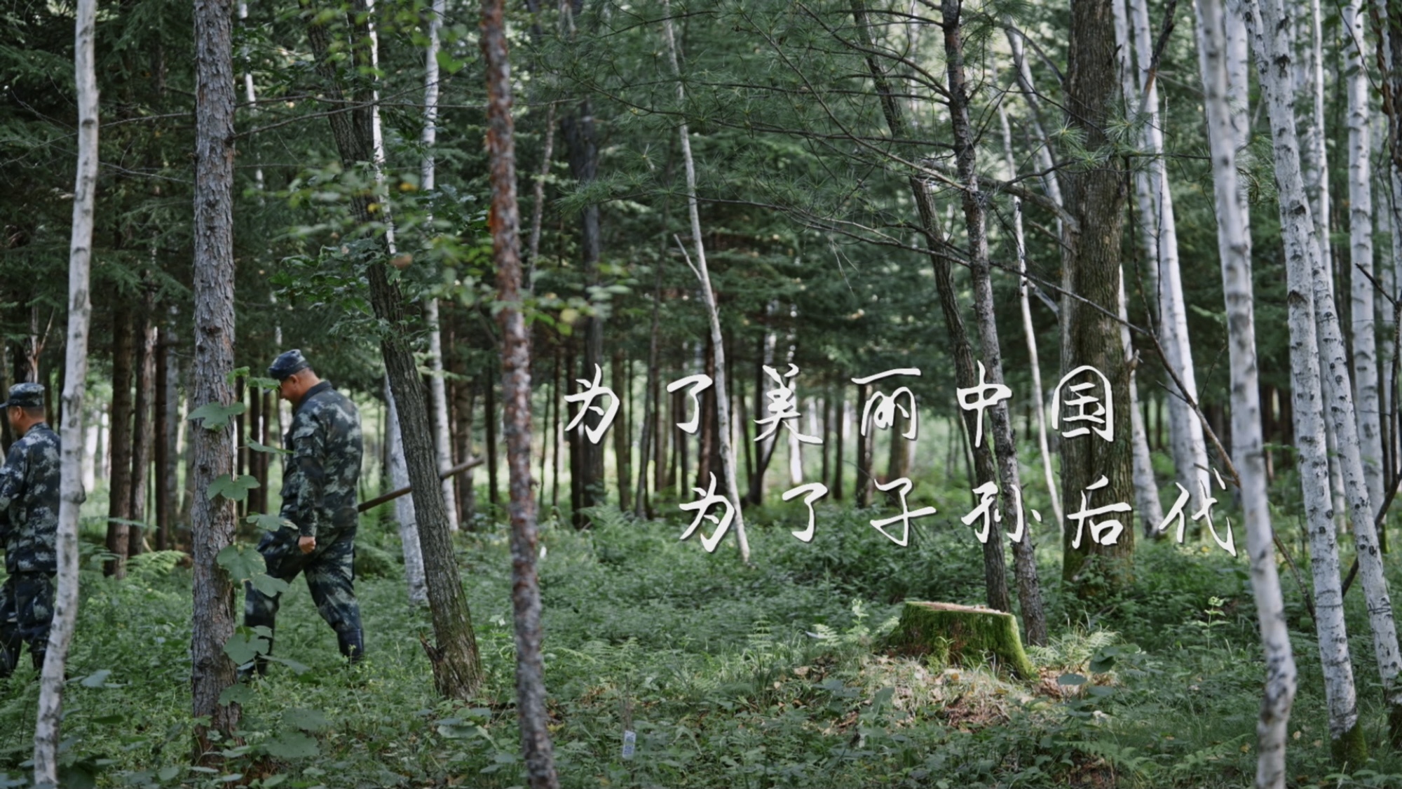
广州中医院黄牛网上预约挂号,住院检查加快绿水青山是我家⑥｜给咱伊春出的题 答上来了