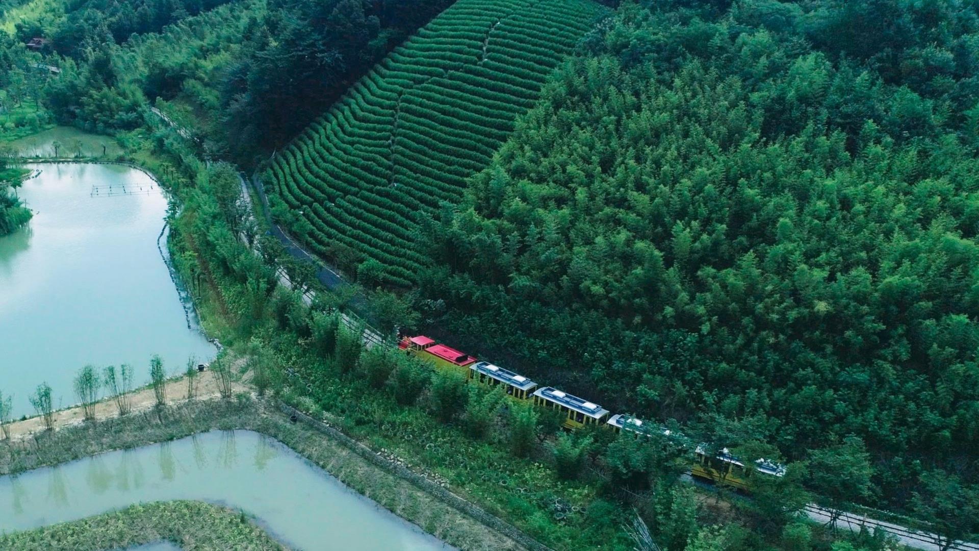 
北京朝阳医院黄牛代挂号,住院检查加快绿水青山是我家⑦｜村主任在联合国讲述“逆袭”故事
