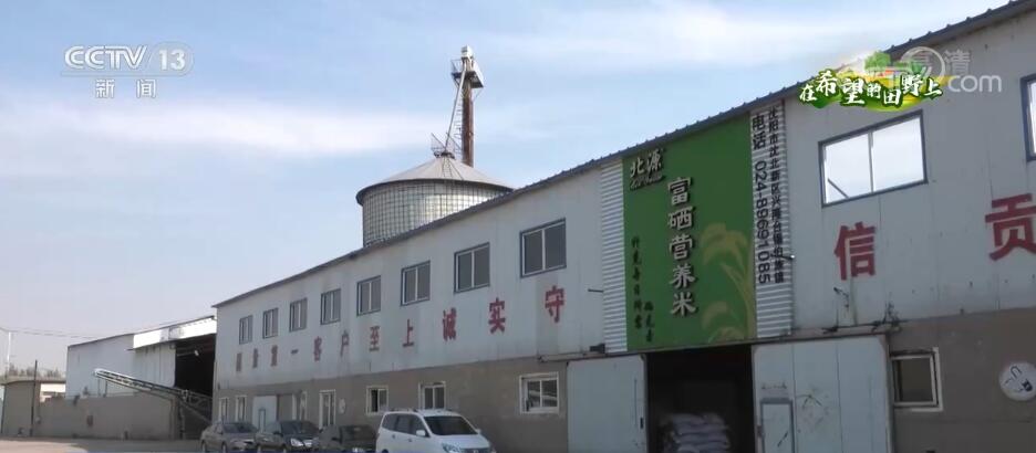 
首都医科大学附属北京朝阳医院黄牛代挂号,住院检查加快在希望的田野上 | 稻田画里说丰年 产业融合促增收