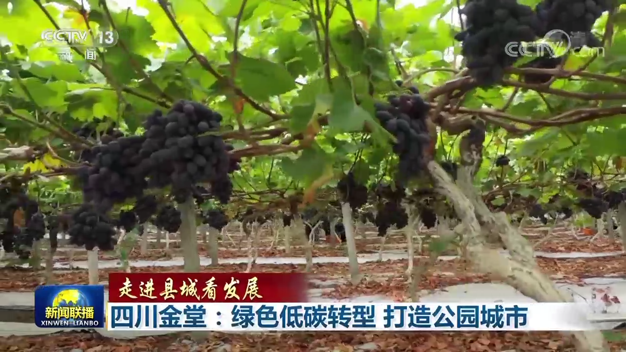 
北京大学第三医院黄牛网上预约挂号,住院检查加快【走进县城看发展】山东桓台：绿色发展 富民强县 四川金堂：绿色低碳转型 打造公园城市