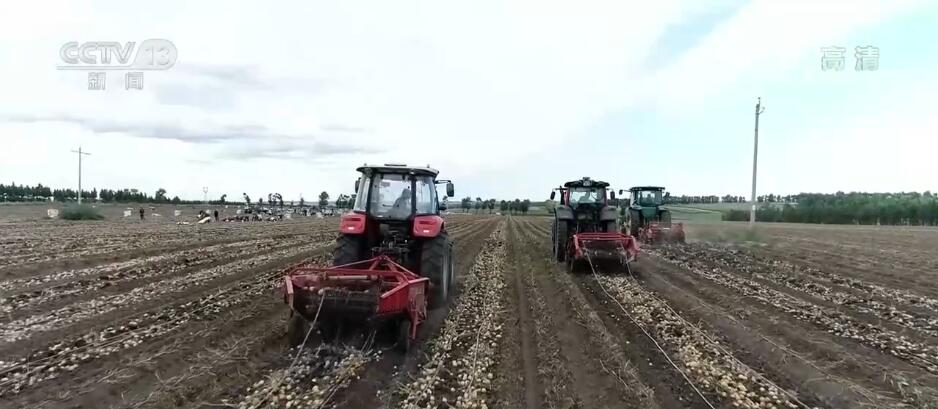 
中国中医科学院广安门医院黄牛号贩子代挂号,住院检查加快在希望的田野上 | 马铃薯迎来丰收季 应用技术手段提高产量
