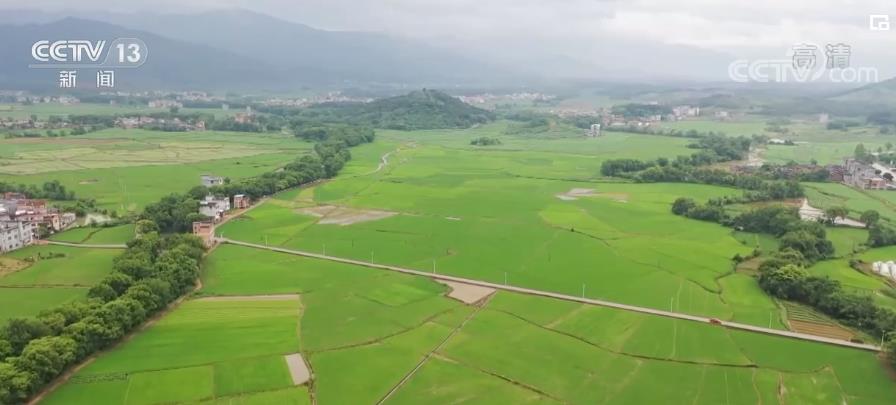 
上海华山医院黄牛号贩子代挂号,住院检查加快中国这十年丨全国已建成万亩以上大中型灌区7330处 夯实粮食安全水利基础