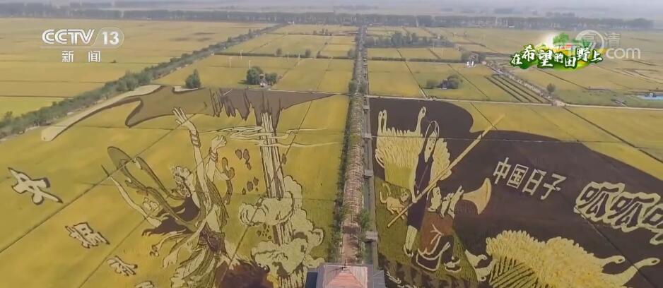 
首都医科大学附属北京朝阳医院黄牛代挂号,住院检查加快在希望的田野上 | 稻田画里说丰年 产业融合促增收