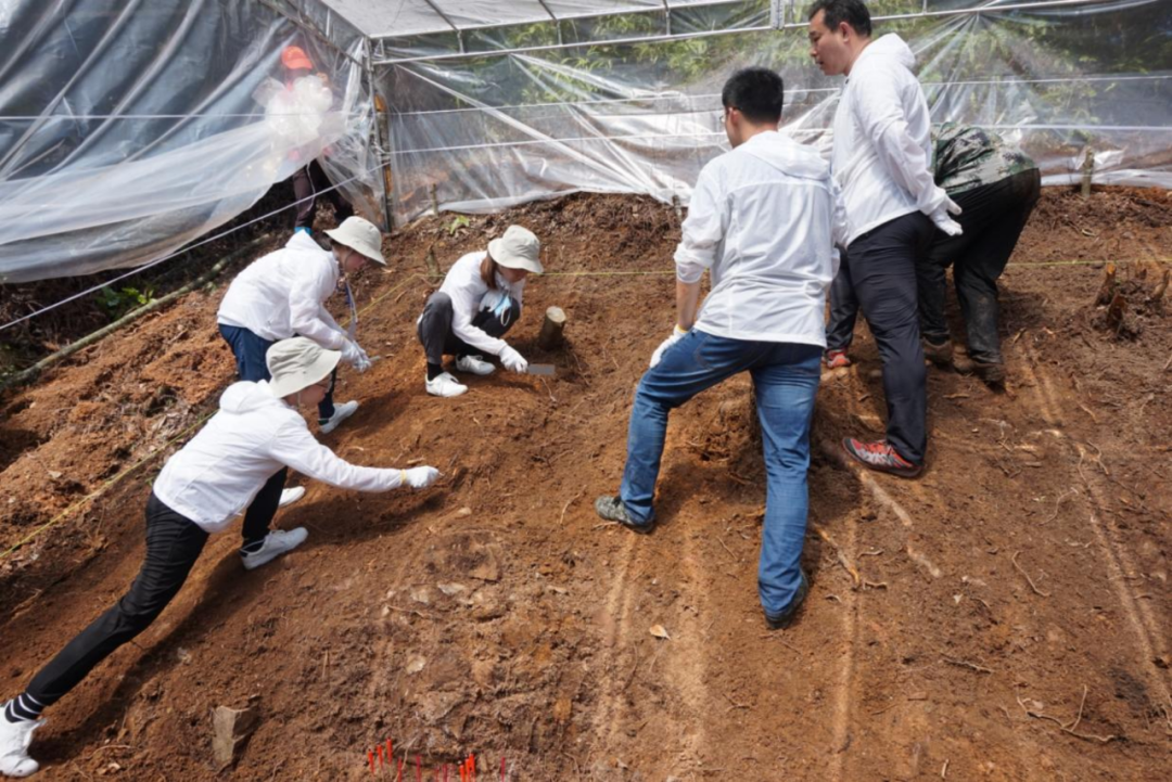 
广州医科大学附属第二医院黄牛代挂号电话票贩子号贩子网上预约挂号,住院检查加快,从“归国”到“回家”，烈士遗骸身份确认全过程！
