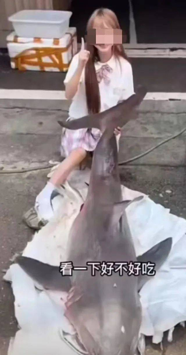 
浙江大学邵逸夫医院黄牛代挂号电话票贩子号贩子网上预约挂号,住院检查加快,网红博主烹食噬人鲨，福建东山检察院：捕获者及转卖者被批捕