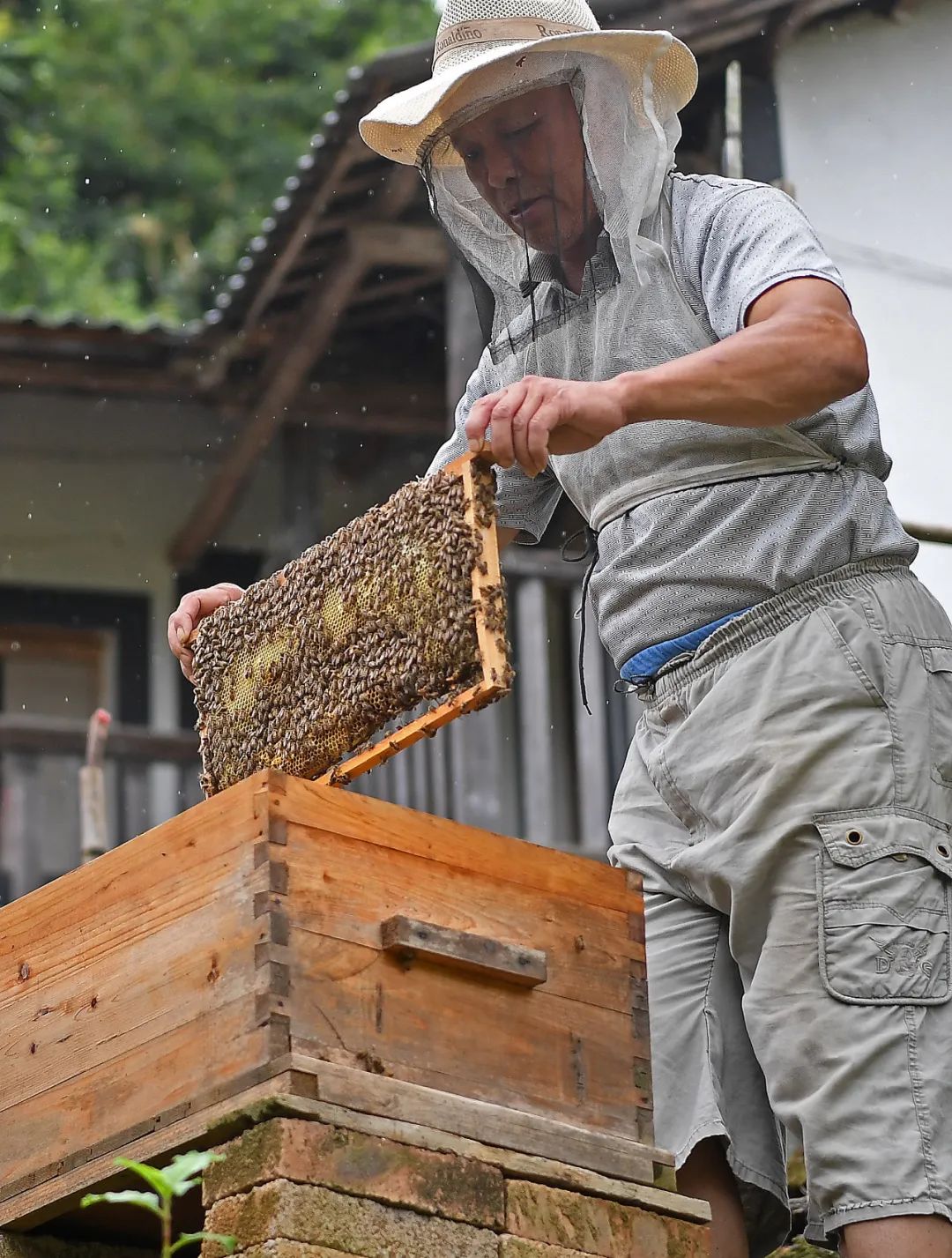 
上海胸科医院黄牛代挂号电话票贩子号贩子网上预约挂号,住院检查加快,给群众讲理论，寻乌接地气