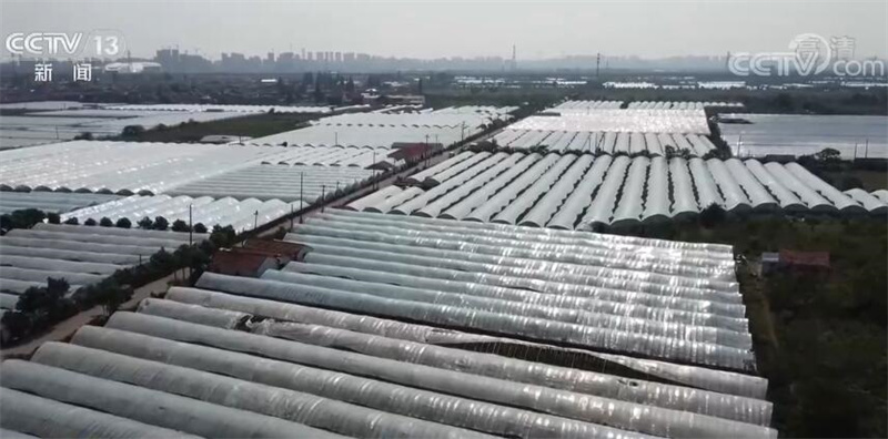 
北京天坛医院黄牛代挂号电话票贩子号贩子网上预约挂号,住院检查加快,在希望的田野上 | 科技助力 农业保险为秋粮丰收保驾护航