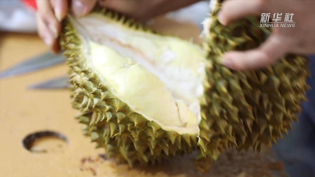 
北大口腔医院黄牛代挂号电话票贩子号贩子网上预约挂号,住院检查加快,物流畅通助力东盟水果进入中国市场
