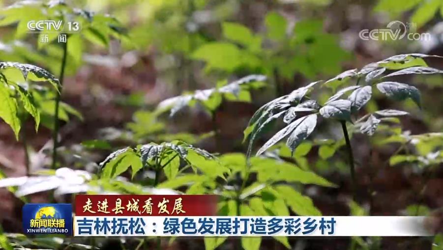 
北京广安门中医院黄牛代挂号电话票贩子号贩子网上预约挂号,住院检查加快,【走进县城看发展】吉林抚松：绿色发展打造多彩乡村