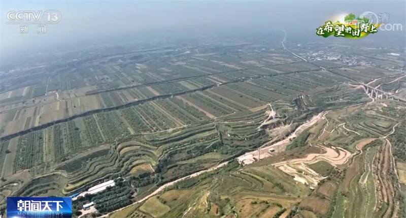 
北京西苑医院黄牛代挂号电话票贩子号贩子网上预约挂号,住院检查加快,在希望的田野上 | 风起翻红浪 山西汾阳5万亩高粱迎丰收