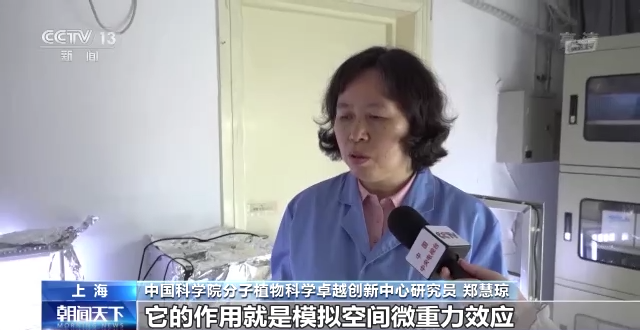 
成都华西医院黄牛挂号,住院检查加快问天舱应用任务进展顺利 植物生长良好