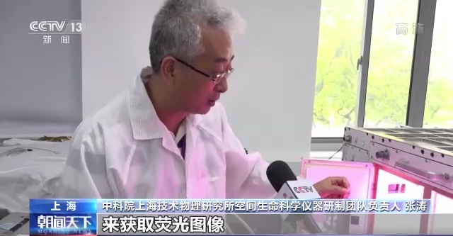 
成都华西医院黄牛挂号,住院检查加快问天舱应用任务进展顺利 植物生长良好