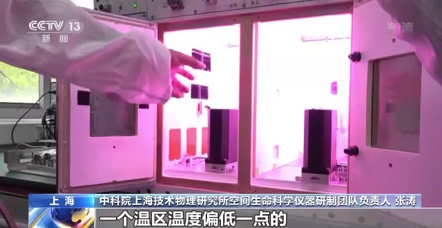 
成都华西医院黄牛挂号,住院检查加快问天舱应用任务进展顺利 植物生长良好