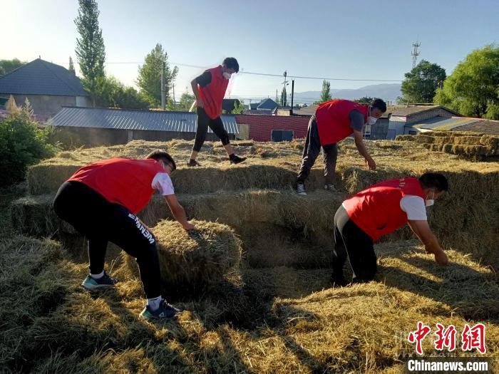 
空军特色医学中心黄牛代挂号电话票贩子号贩子网上预约挂号,住院检查加快,新疆伊犁州秋收秋种工作有序进行