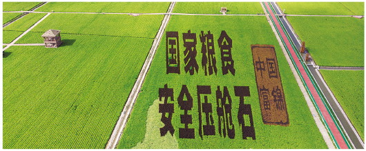 
北京儿童医院黄牛代挂号电话票贩子号贩子网上预约挂号,住院检查加快,维护国家粮食安全：北大荒的十年答卷