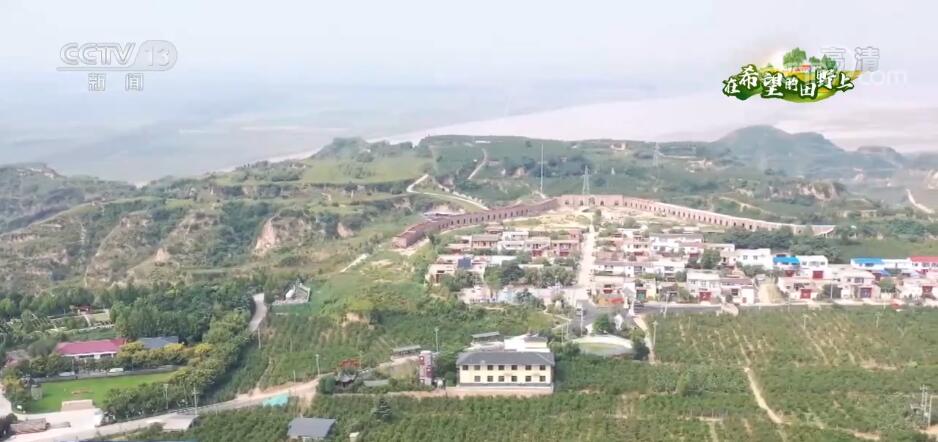 
广州肿瘤医院黄牛代挂号电话票贩子号贩子网上预约挂号,住院检查加快,在希望的田野上 | 万亩软籽石榴助农富 又是丰收好年景
