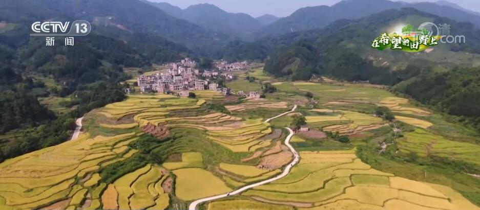 
南京鼓楼医院黄牛代挂号电话票贩子号贩子网上预约挂号,住院检查加快,在希望的田野上 | 稻谷飘香迎丰收 瑶乡梯田美如画