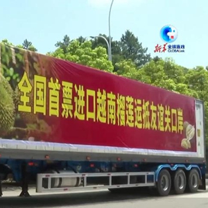 
上海瑞金医院黄牛代挂号电话票贩子号贩子网上预约挂号,住院检查加快,全球连线｜RCEP生效后东盟首个新准入水果进入广西