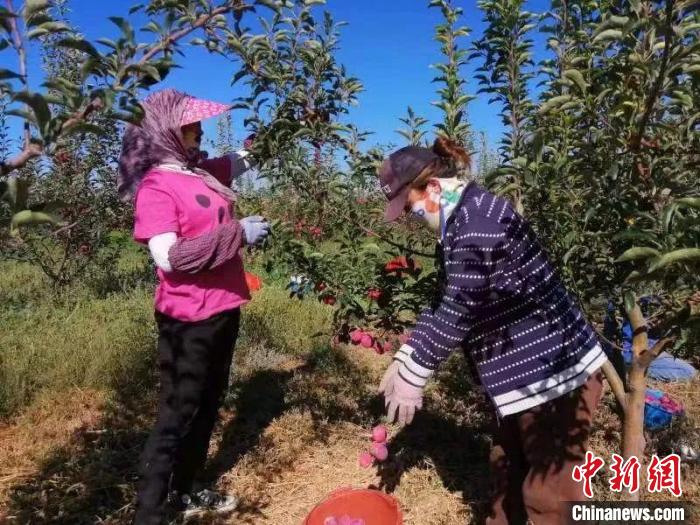 
空军特色医学中心黄牛代挂号电话票贩子号贩子网上预约挂号,住院检查加快,新疆伊犁州秋收秋种工作有序进行