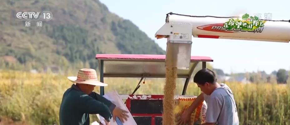 
中山大学孙逸仙纪念医院黄牛代挂号电话票贩子号贩子网上预约挂号,住院检查加快,在希望的田野上 | 各地开展机收作业 确保秋粮颗粒归仓