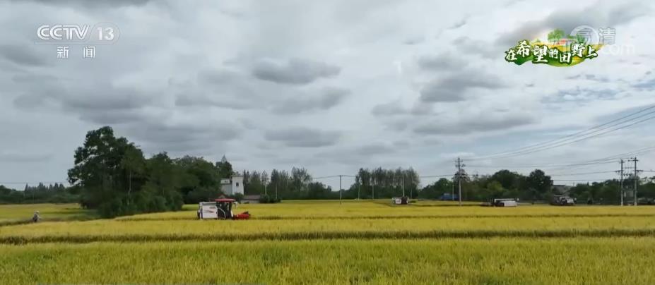 
中山大学孙逸仙纪念医院黄牛代挂号电话票贩子号贩子网上预约挂号,住院检查加快,在希望的田野上 | 各地开展机收作业 确保秋粮颗粒归仓