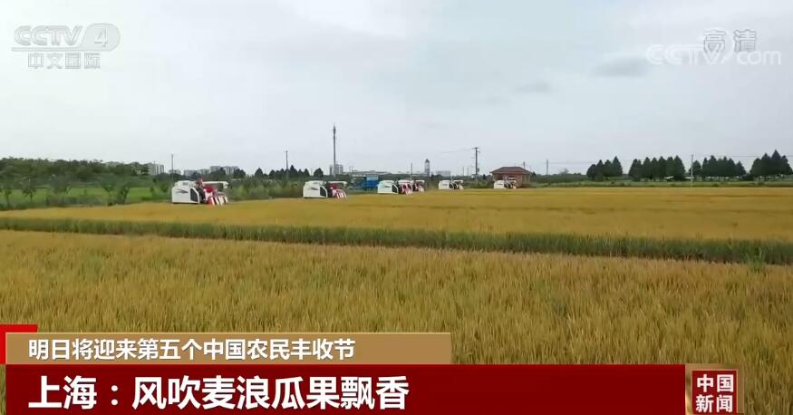 
南京中科研究所黄牛代挂号电话票贩子号贩子网上预约挂号,住院检查加快,明日将迎来第五个中国农民丰收节 田间地头洋溢着丰收的喜悦