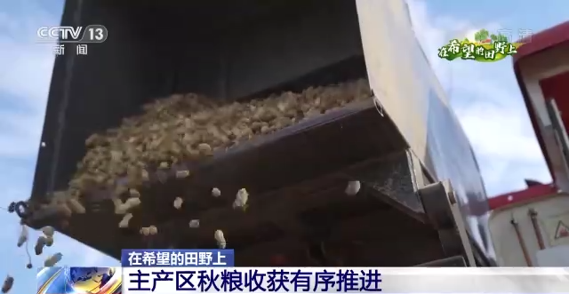 
北京各大医院黄牛代挂号电话票贩子号贩子网上预约挂号,住院检查加快,在希望的田野上丨主产区秋粮收获有序推进