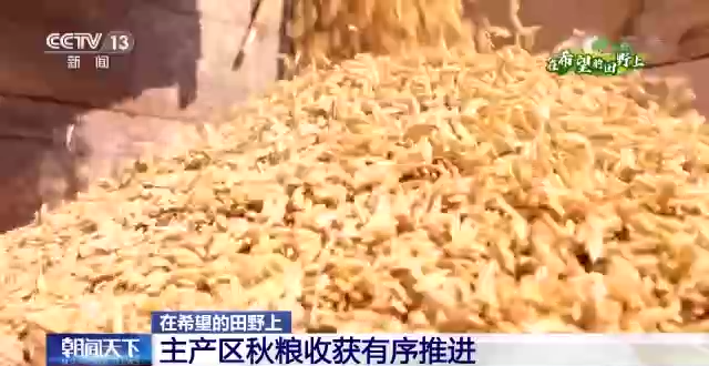 
北京各大医院黄牛代挂号电话票贩子号贩子网上预约挂号,住院检查加快,在希望的田野上丨主产区秋粮收获有序推进