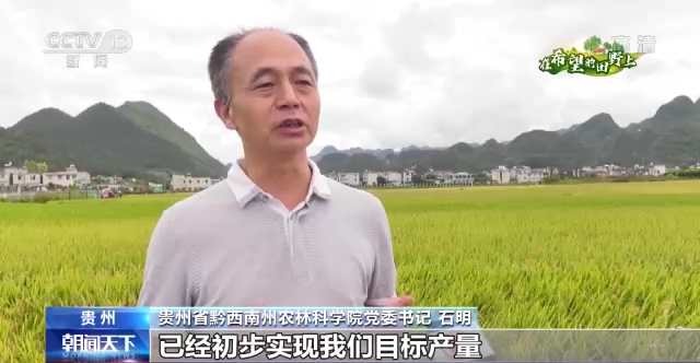 
北京各大医院黄牛代挂号电话票贩子号贩子网上预约挂号,住院检查加快,在希望的田野上丨主产区秋粮收获有序推进