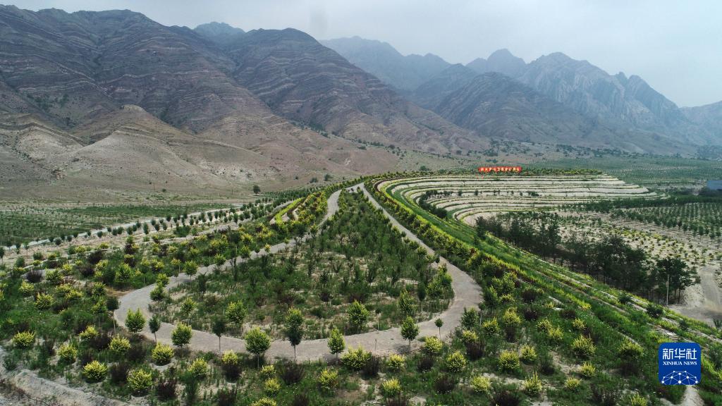 
北京中医院黄牛代挂号电话票贩子号贩子网上预约挂号,住院检查加快,喜迎二十大丨宁夏：让塞上江南更美好